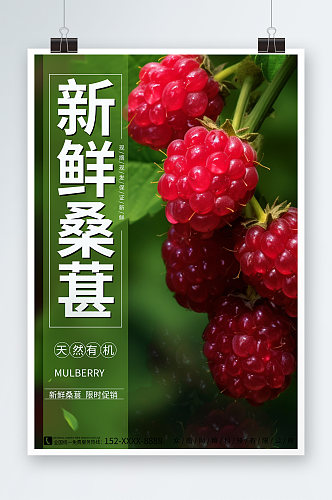 简约风桑葚水果促销海报