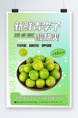 新鲜青西梅李子夏季水果果园促销海报