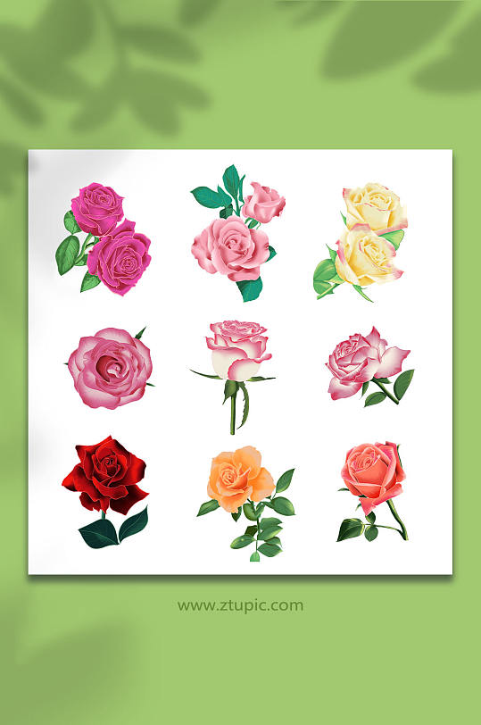 写实手绘鲜花玫瑰花插画元素