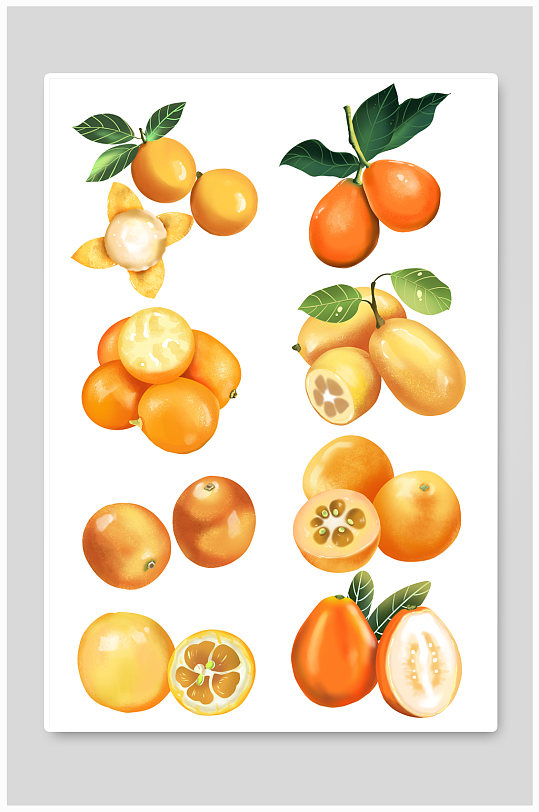 金桔冬季水果手绘元素插画