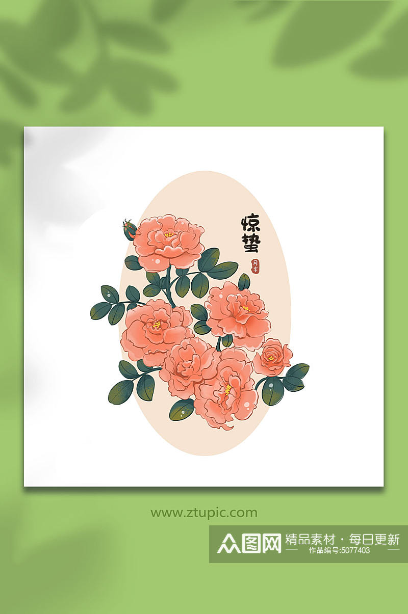 24节气惊蛰月季花卉插画元素素材