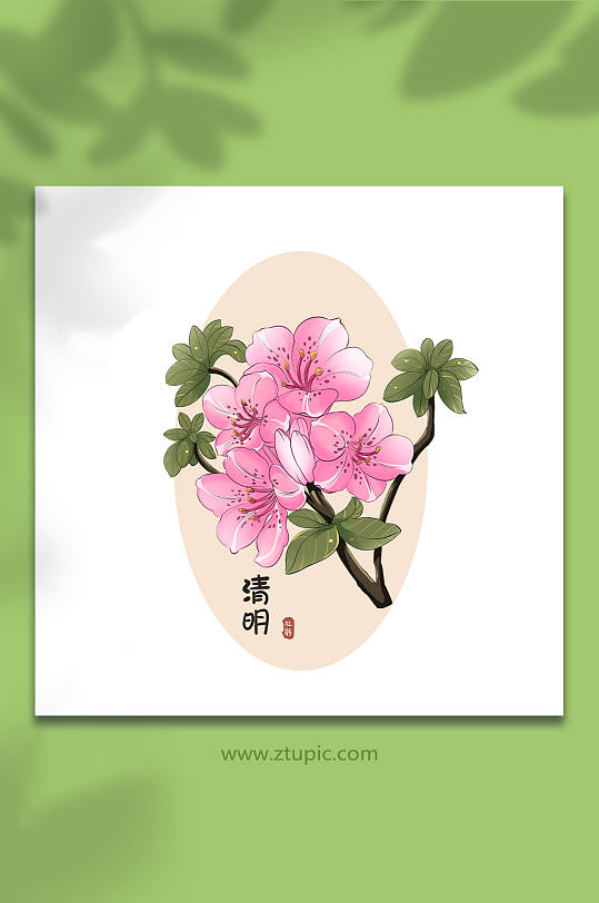 24节气清明节杜鹃花插画元素