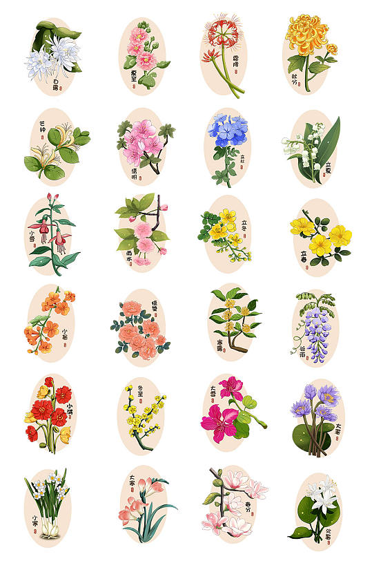手绘24节气花朵花卉插画元素