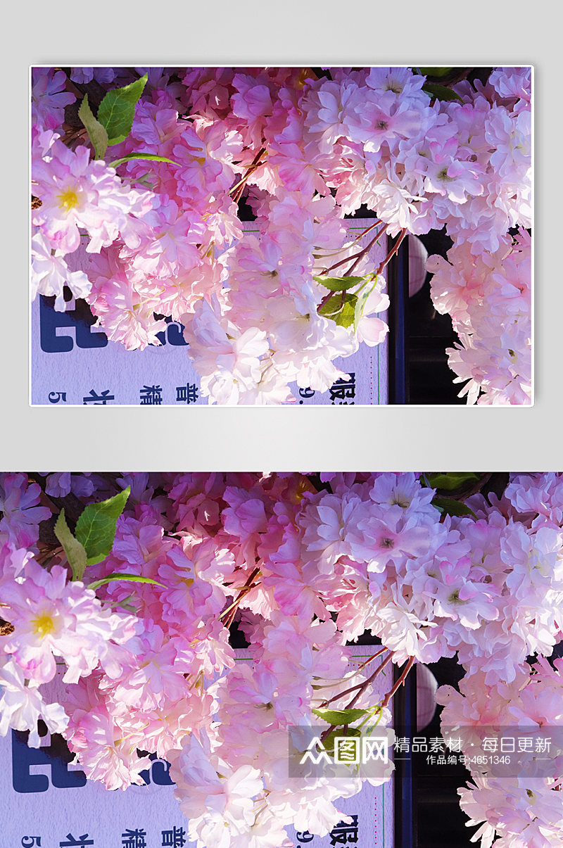 花季春季摄影图樱花照片春天摄影粉色浪漫小清新素材