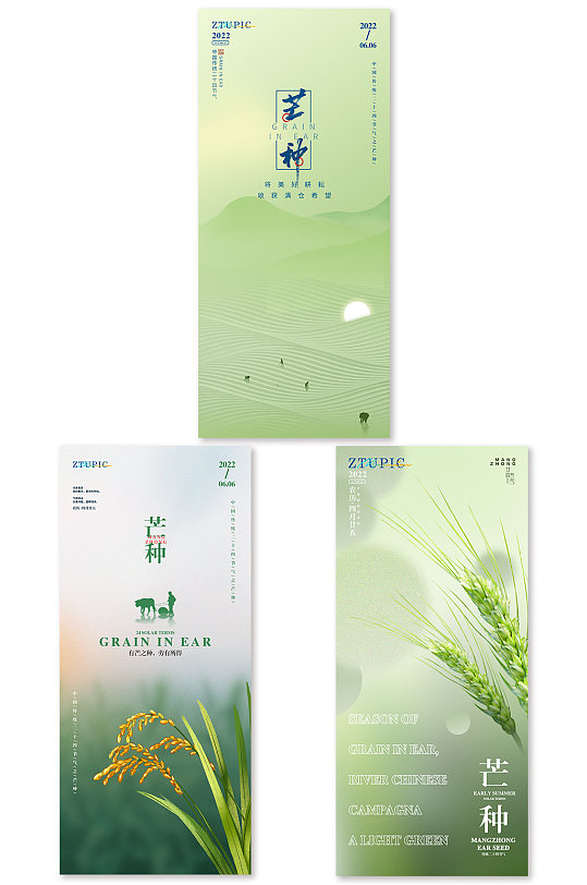 芒種海報(bào)系列海報(bào)分幅海報(bào)24節(jié)氣海報(bào)綠色