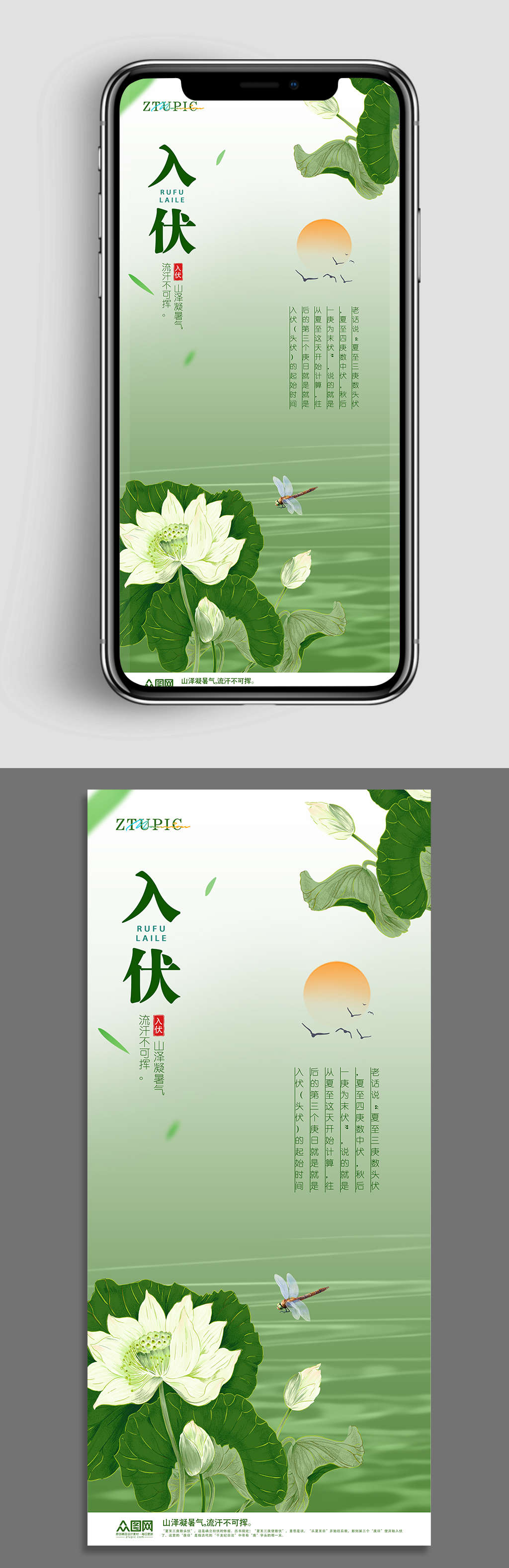 夏季入伏荷花节气消暑避暑海报素材