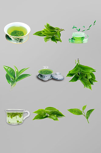 茶叶茶文化绿色花茶包装免扣元素
