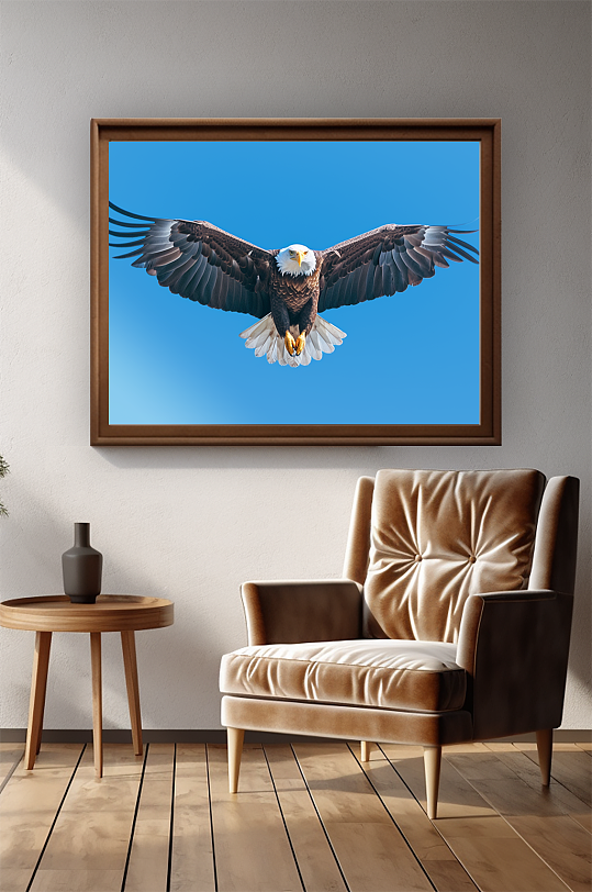 大鹏展翅老鹰捕猎摄影图装饰画-众图网