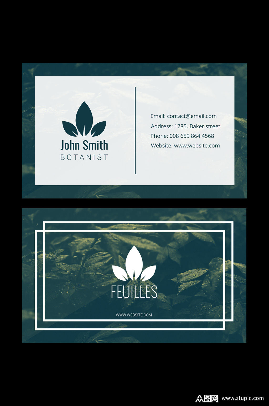 时尚简约名片设计素材