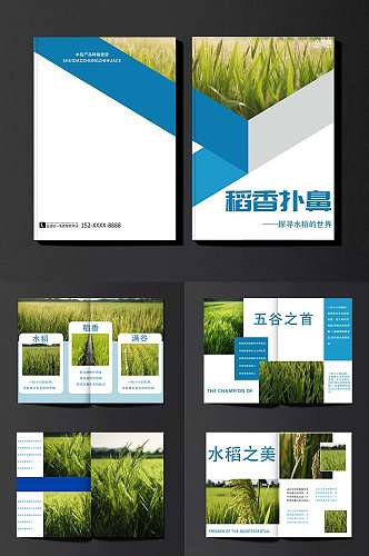 蓝色简约水稻绿色农产品农业种植画册