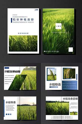 稻田小麦水稻绿色农产品农业种植画册