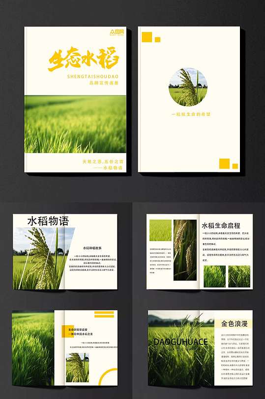 稻谷水稻绿色农产品农业种植画册