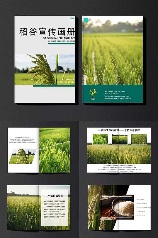 科技水稻绿色农产品农业种植画册
