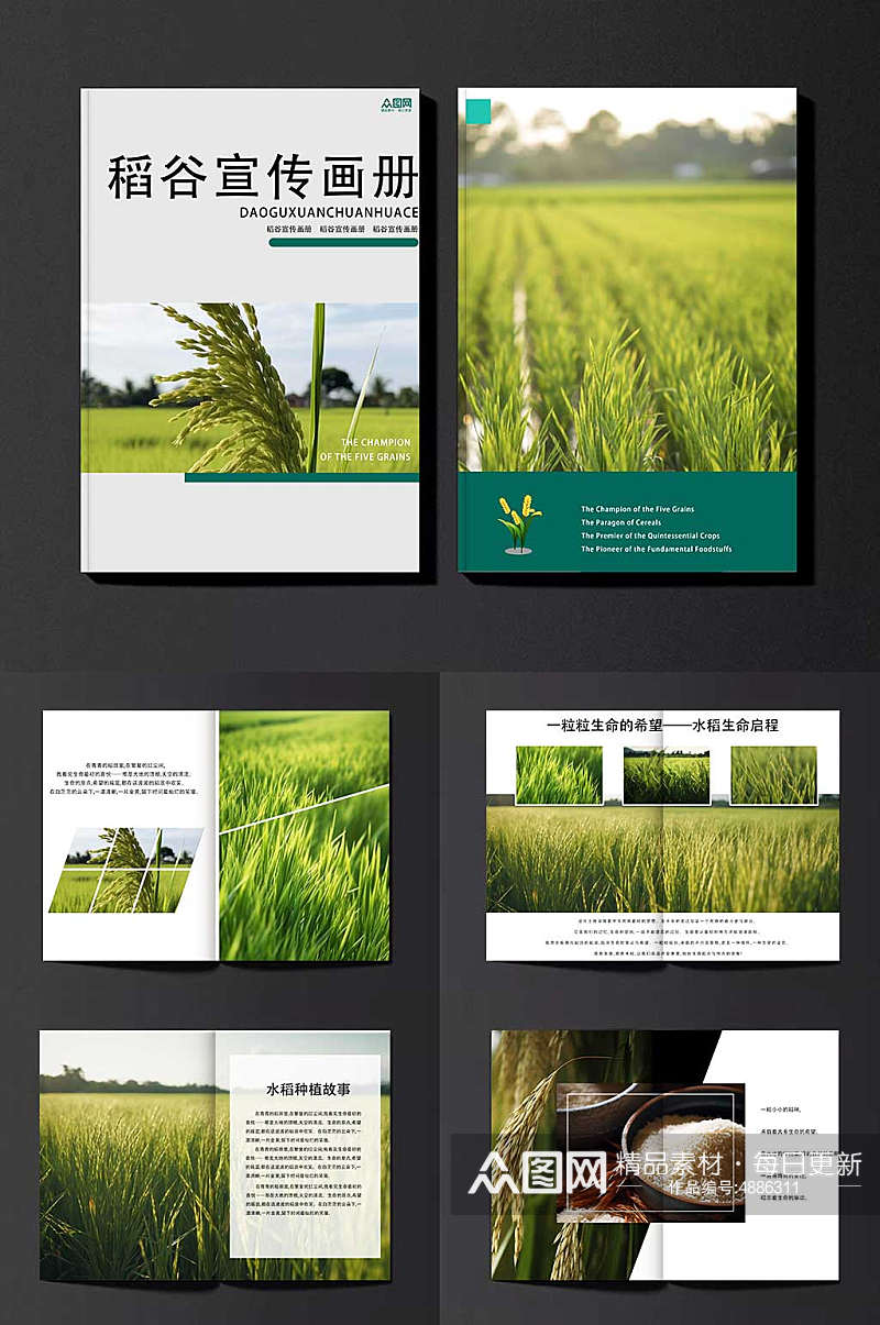 科技水稻绿色农产品农业种植画册素材