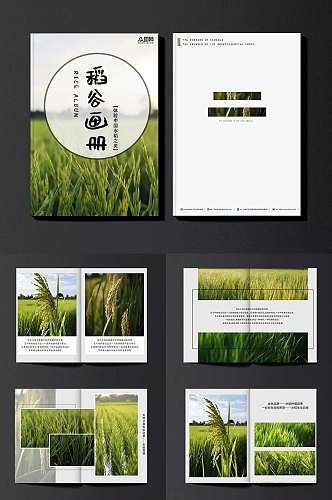 绿色小清新水稻绿色农产品农业种植画册