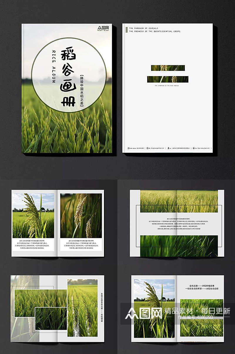 绿色小清新水稻绿色农产品农业种植画册素材