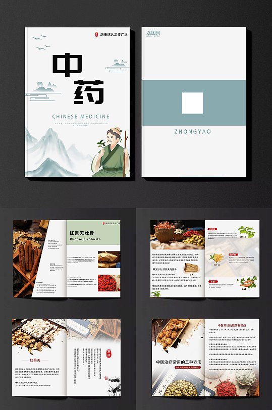水墨中医中药药材介绍宣传画册-众图网