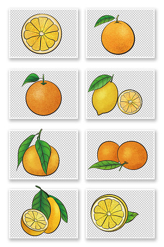 水果手绘冬季水果橘子元素插画