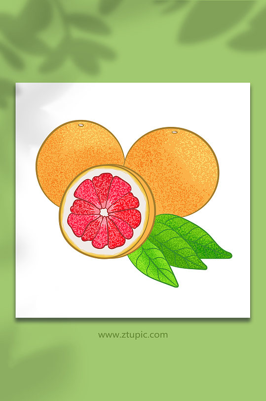 矢量水果柚子插画