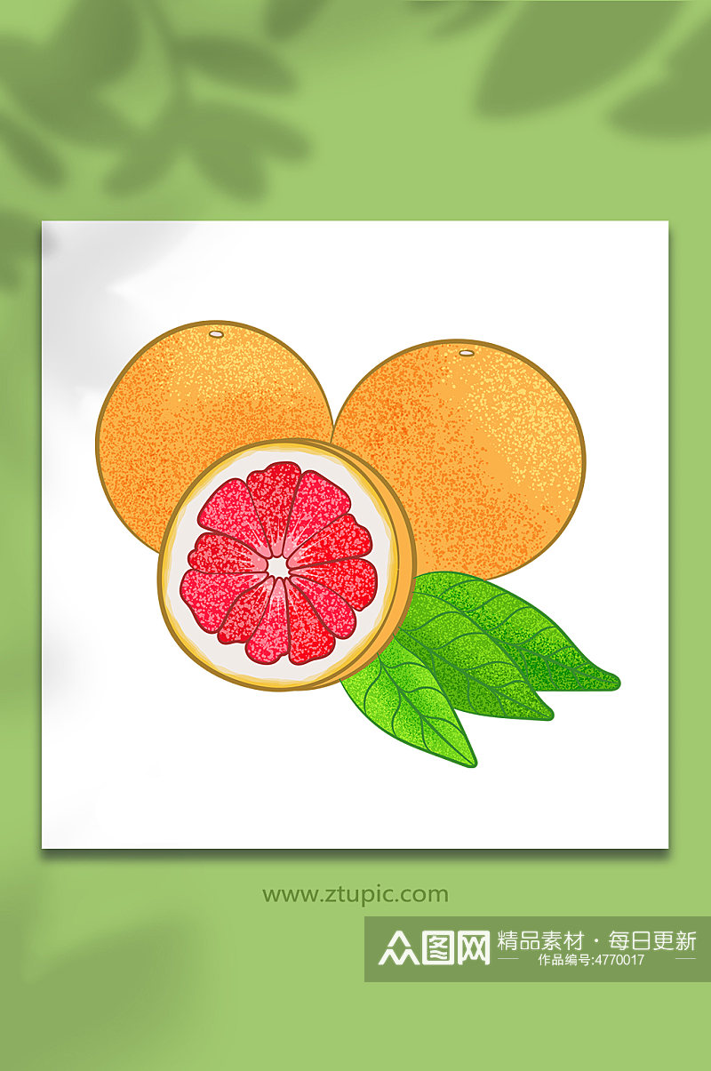 矢量水果柚子插画素材