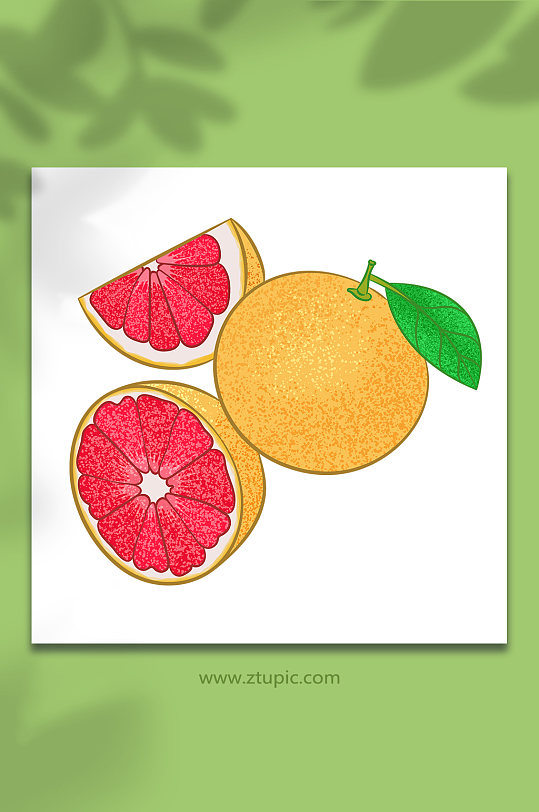 红柚矢量冬季柚子水果元素插画