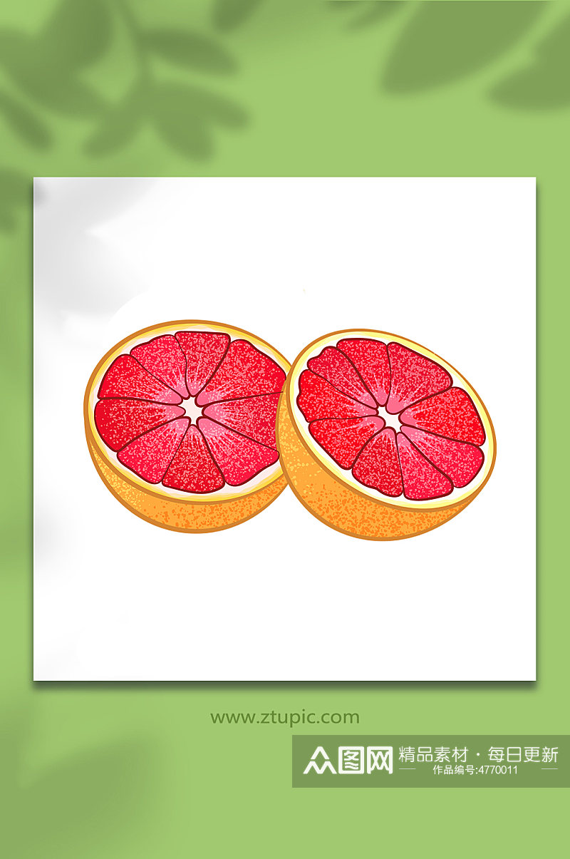 半切矢量冬季柚子水果元素插画素材