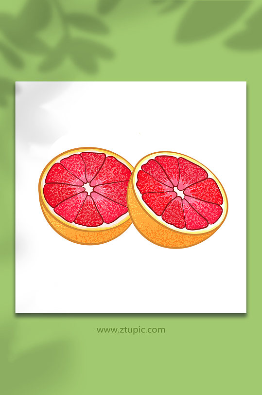半切矢量冬季柚子水果元素插画