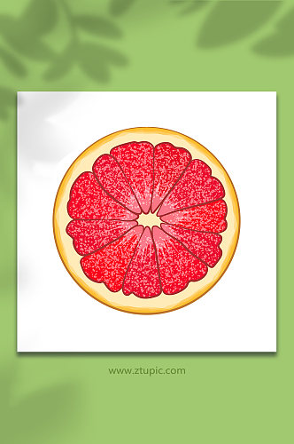 红心蜜柚矢量冬季柚子水果元素插画