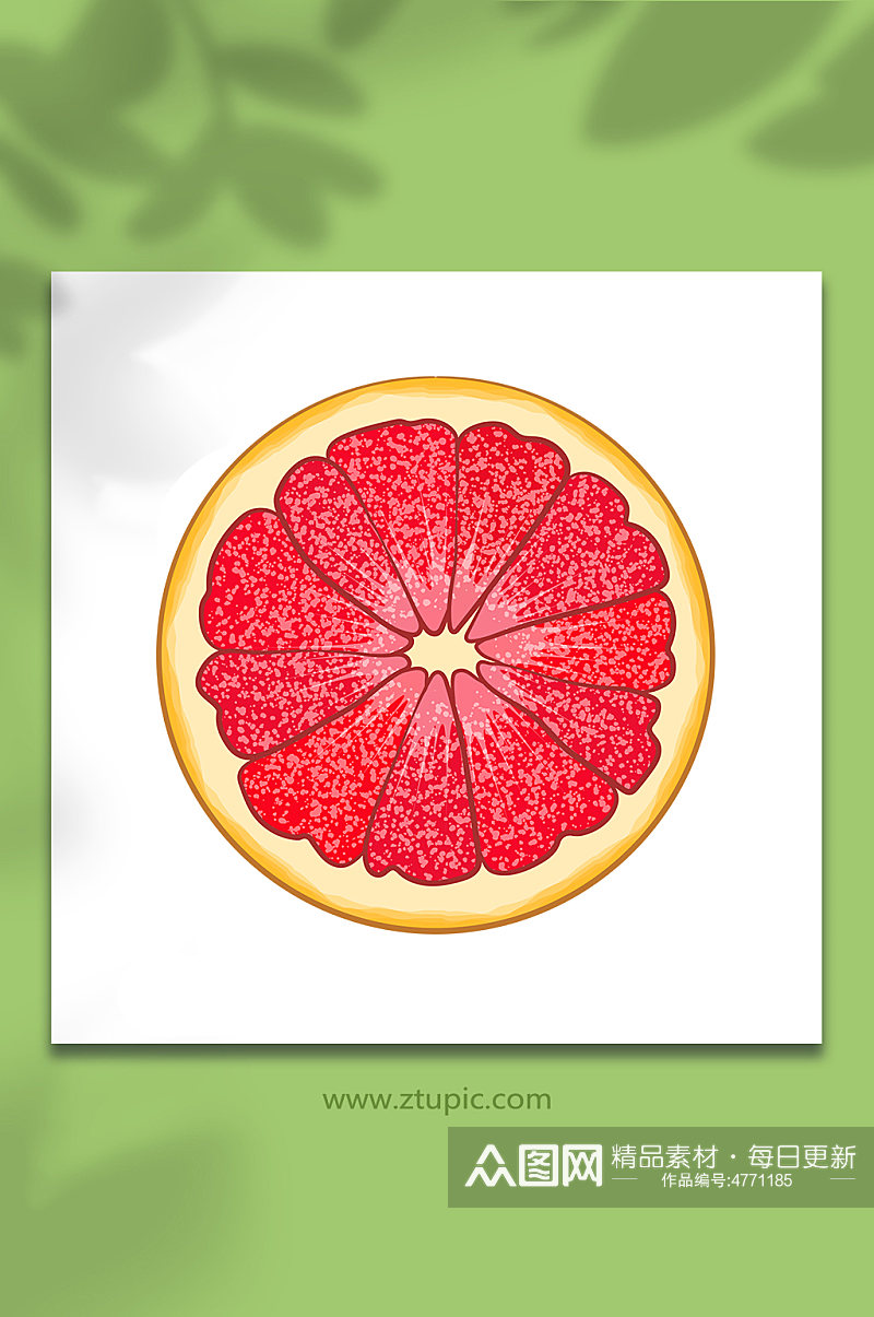 红心蜜柚矢量冬季柚子水果元素插画素材
