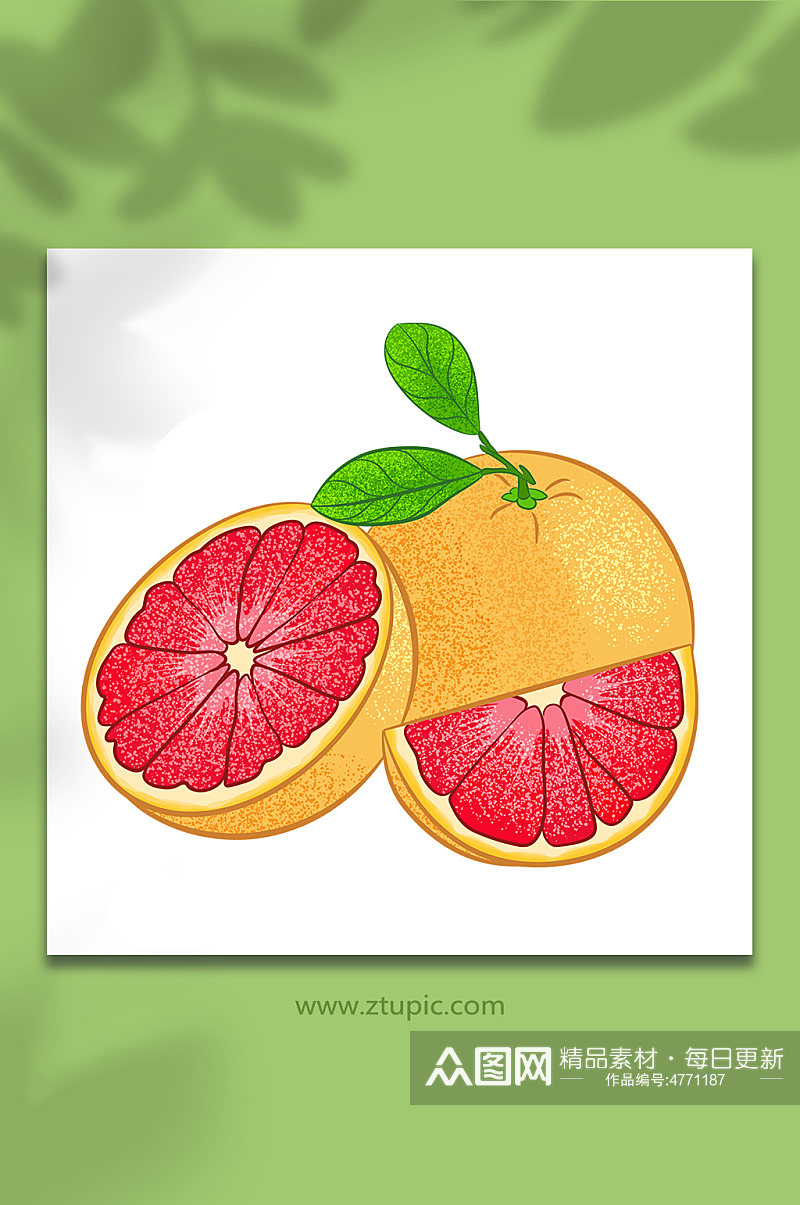 扁平矢量红肉冬季柚子水果元素插画素材