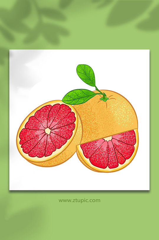 扁平矢量红肉冬季柚子水果元素插画
