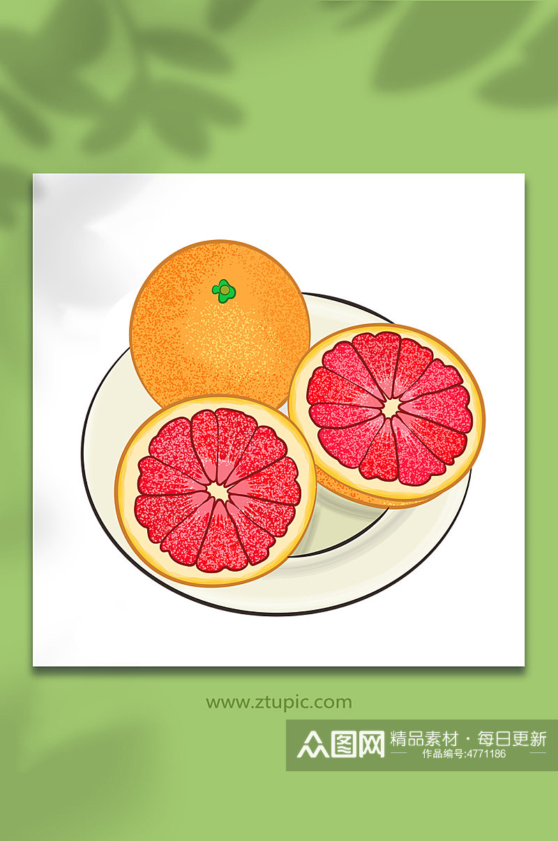 红肉矢量柚子冬季柚子水果元素插画素材