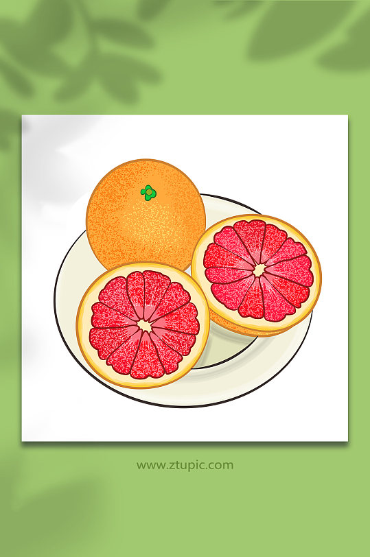 红肉矢量柚子冬季柚子水果元素插画