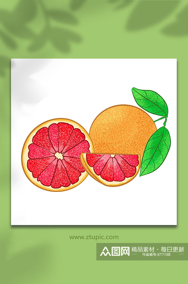 蜜柚矢量冬季柚子水果元素插画素材