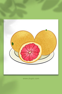 一盘冬季柚子水果元素插画