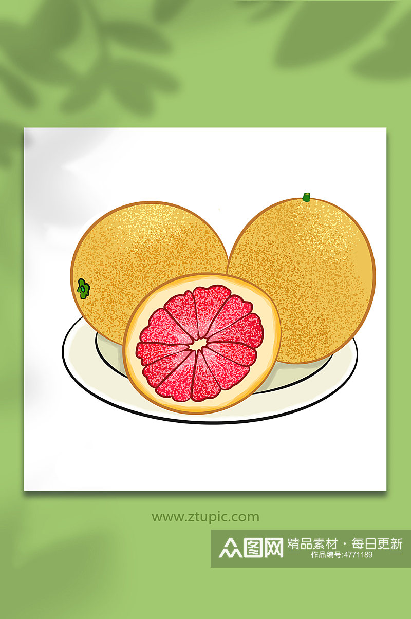 一盘冬季柚子水果元素插画素材