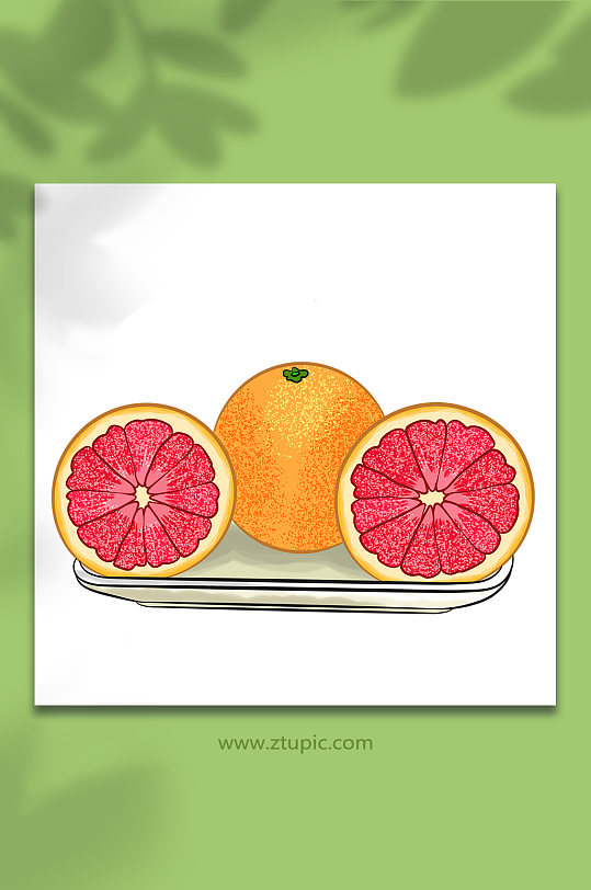 红肉冬季柚子水果元素插画