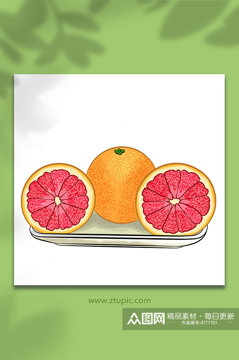 红肉冬季柚子水果元素插画素材