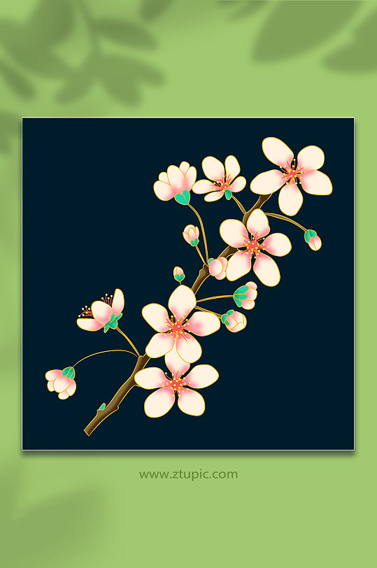 古風(fēng)櫻花國風(fēng)矢量花卉元素插畫
