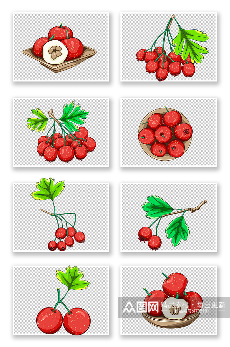 小红果山楂冬季水果插画元素素材