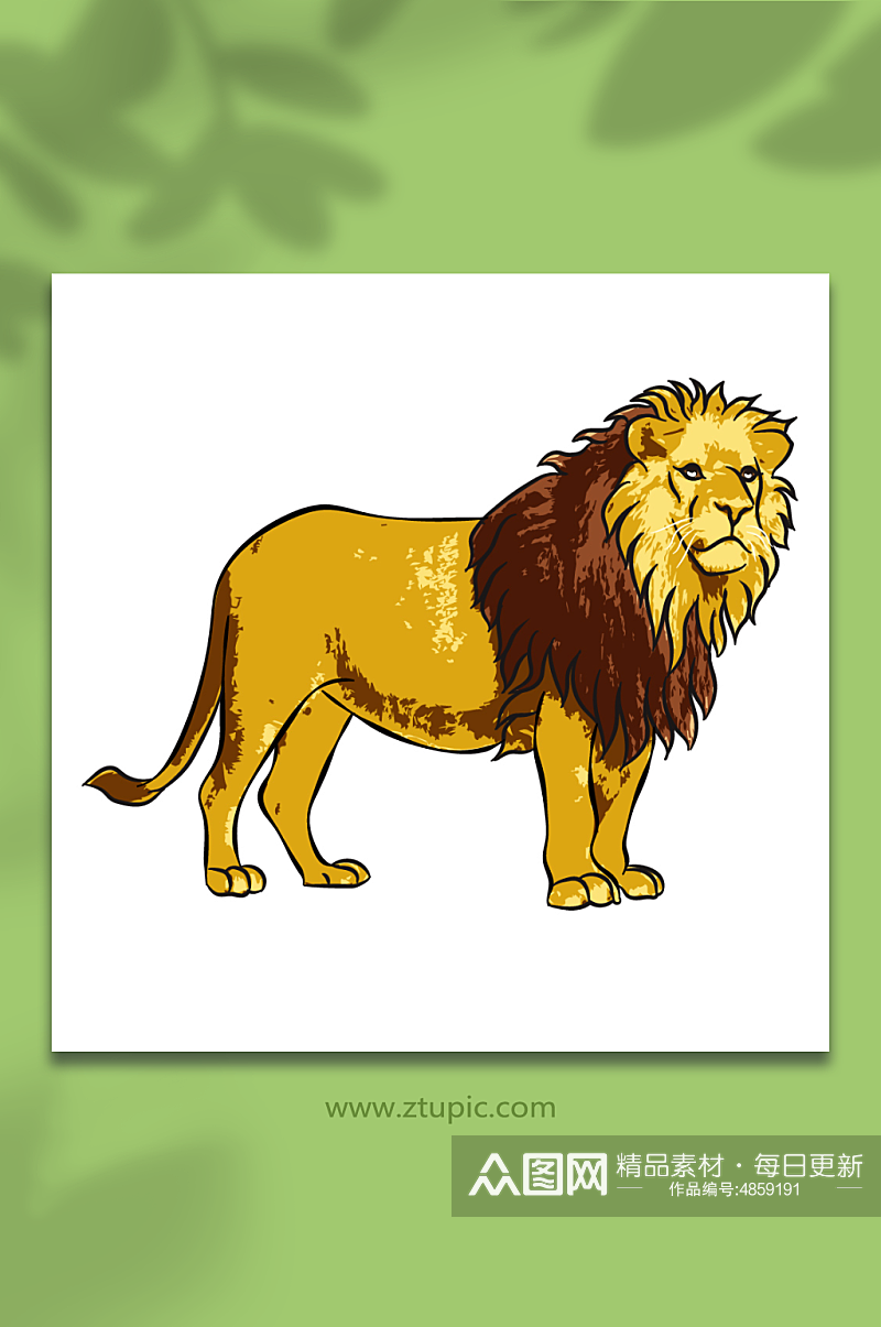 矢量手绘草原狮子动物插画素材