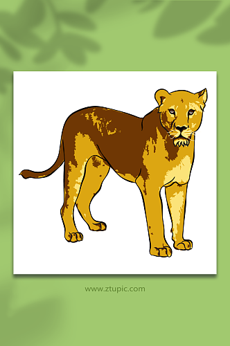 矢量手绘草原母狮子动物插画