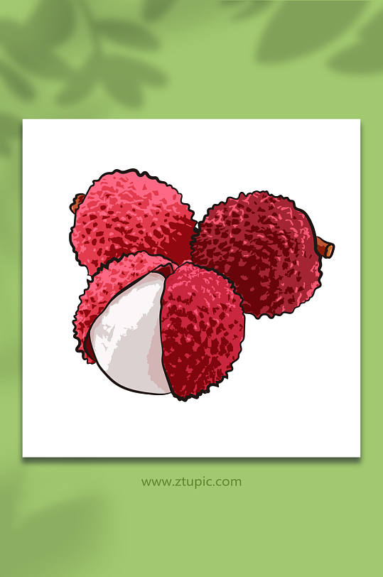 矢量写实手绘荔枝水果元素插画-众图网