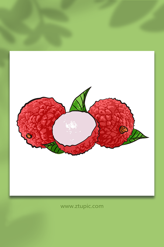 矢量手绘写实荔枝水果元素插画-众图网