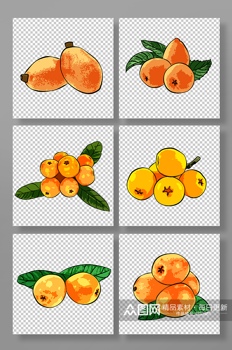 手绘写实枇杷水果元素插画素材