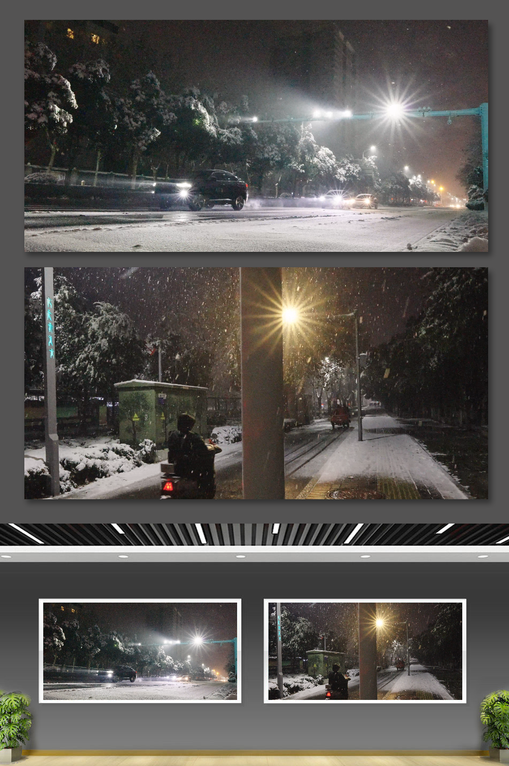 雪夜道路交通路灯下的雪花素材