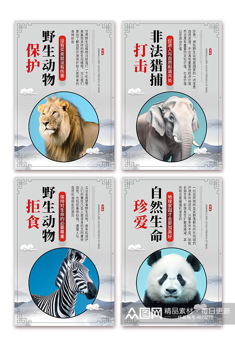 灰色保护野生动物系列展板海报素材