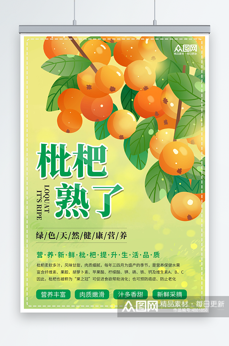 枇杷夏季水果促销宣传海报素材