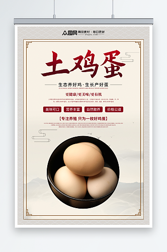 中国风农家土鸡蛋宣传海报