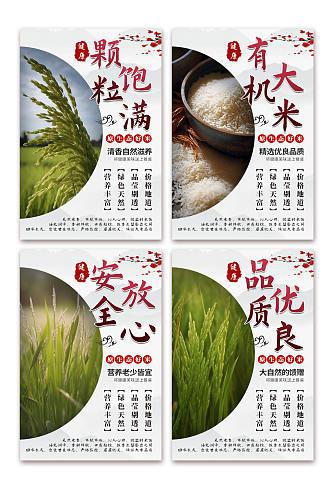 中国风水稻大米绿色农产品农业农耕系列海报